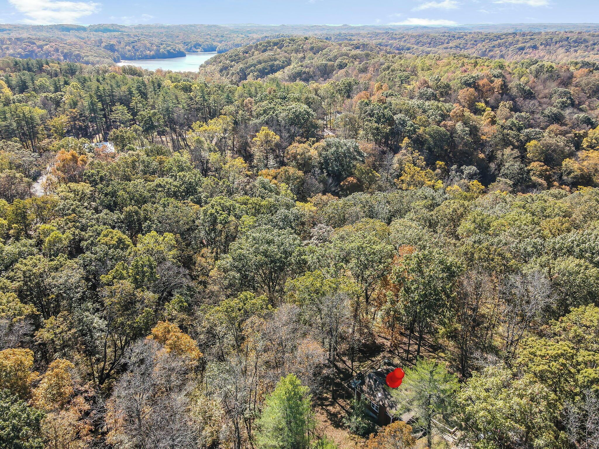 A forested landscape with a lake in the distance.