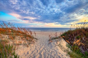 Een strand met duinen en gras.
