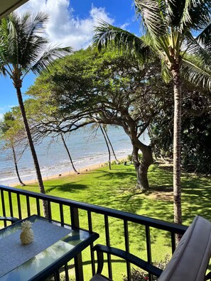 Property grounds - Beachfront Bliss on Sugar Beach (Kihei)