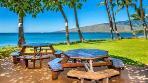 A picnic area with wooden tables and benches, overlooking a beach with palm trees and a clear blue sky.