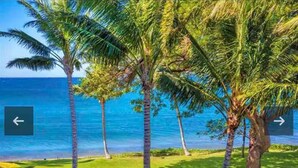 A tropical landscape with palm trees and a view of the ocean.