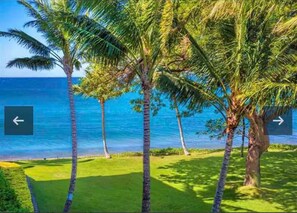 Beach - Beachfront Bliss on Sugar Beach (Kihei)
