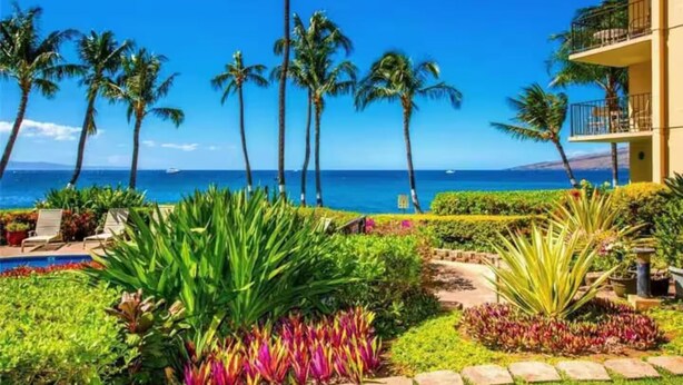 A hotel with a pool and tropical plants, overlooking a clear blue ocean with palm trees.