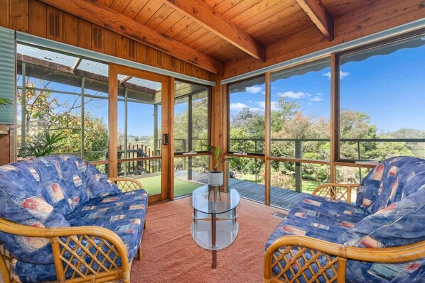 TV, fireplace, ping pong