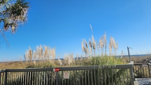 A wooden deck with a railing, signs prohibiting smoking and grilling, and tall grasses in the background. - Oceanfront Condo*Walkout Patio Beach Access*Steps to the Sea* (North Myrtle Beach)
