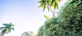 Comfy Kirwan Getaway