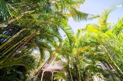Palm Grove Cottage & Private Studio
