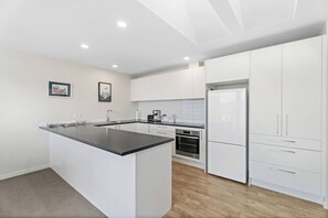 Fridge, microwave, oven, stovetop - Quiet Home with Stunning Lake & Mountain Views (Queenstown)