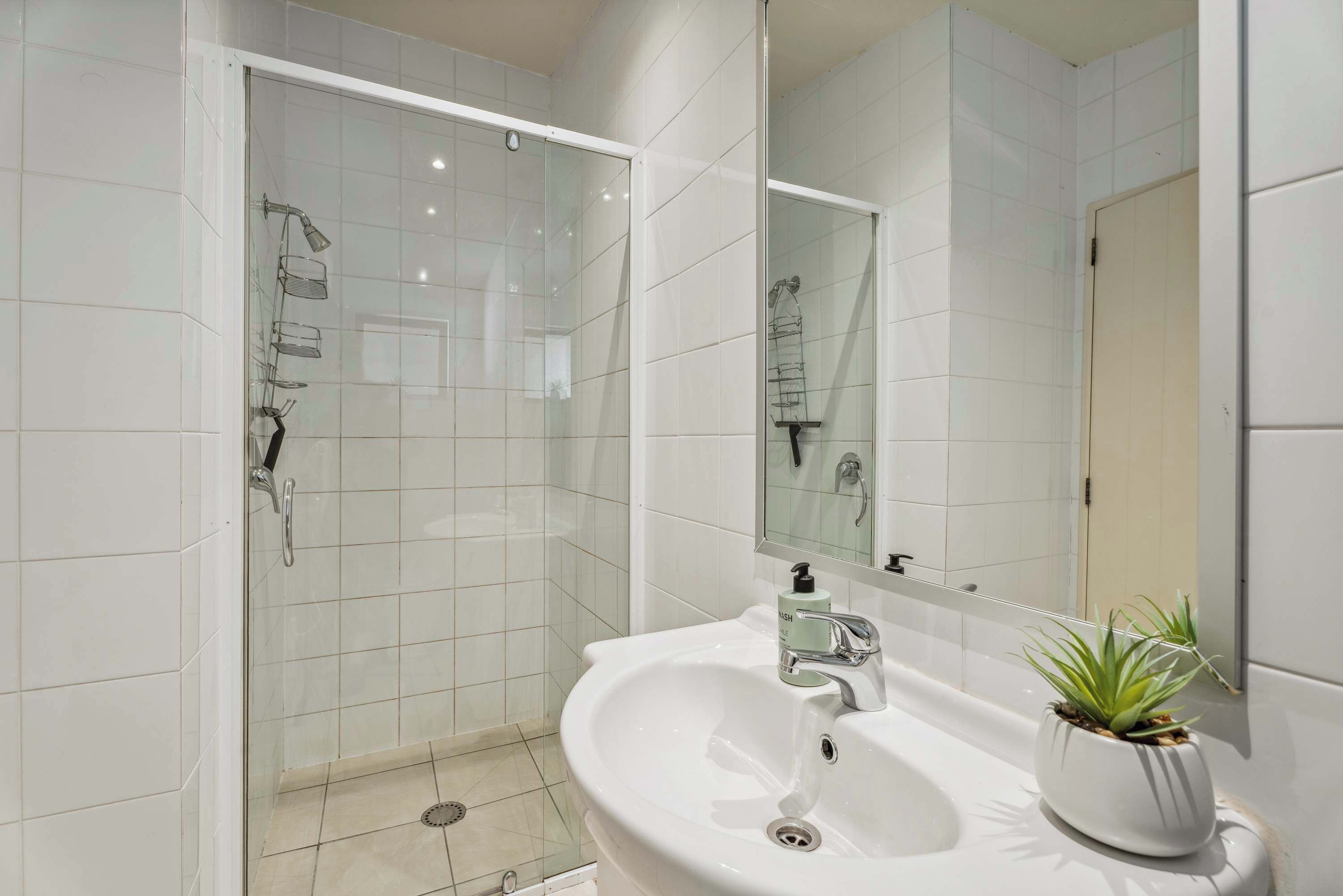 A modern bathroom with a glass-enclosed shower, a white sink with a plant, and a large mirror.
