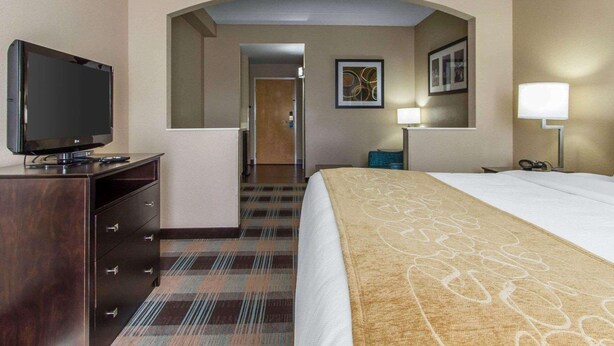 Une chambre d’hôtel avec un lit, une télévision, un bureau et une lampe.