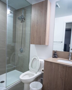 Regadera y secadora de cabello 