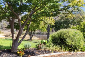 Property grounds - MANNIX ESCAPE - 4 Bedroom house with everything you might need (Mandurang South)