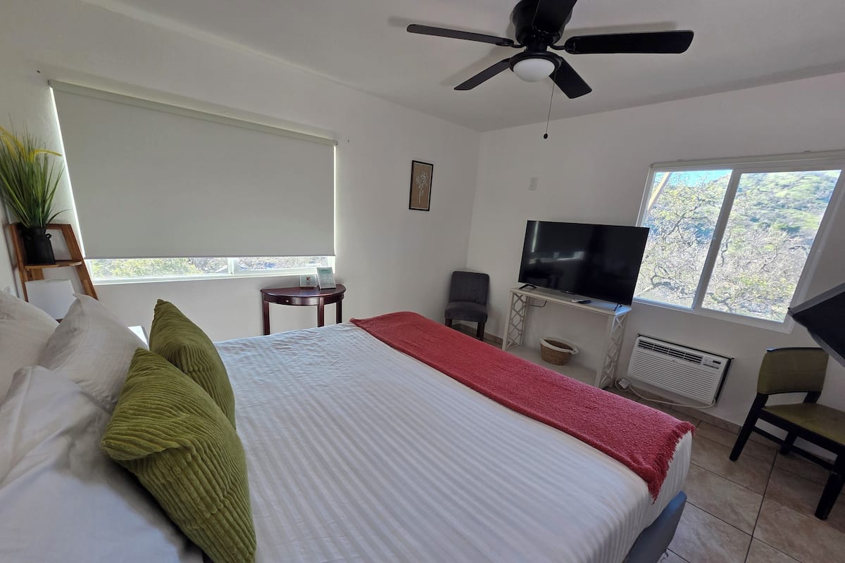 A hotel room with a bed, a ceiling fan, a TV, a chair, a small table, and a window with a view.