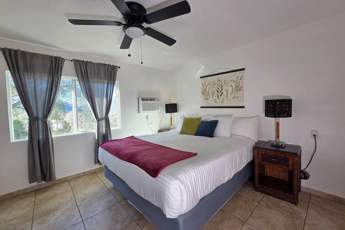 A bedroom with a bed, a ceiling fan, a nightstand, a lamp, and a window with curtains.