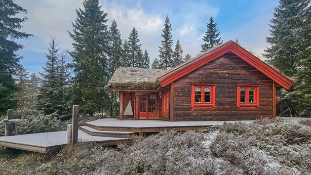 A wooden cabin with a thatched roof, surrounded by snow-covered vegetation and tall trees. - Gorgeous home in Steinsholt with harbor view (Steinsholt)