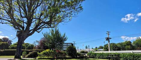 Una calle bordeada de árboles con mesas de picnic y una valla de piquetes blancos.