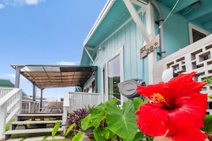 A turquoise building with a covered outdoor seating area, a visible address sign, and a red hibiscus flower in the foreground.