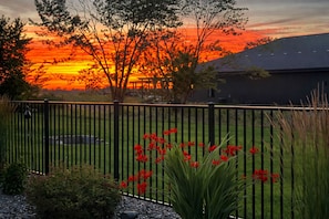 Solnedgang med sort metalhegn, røde blomster og et hus i baggrunden.