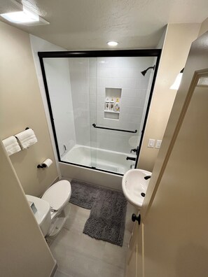 Shower, hair dryer, bidet, towels
