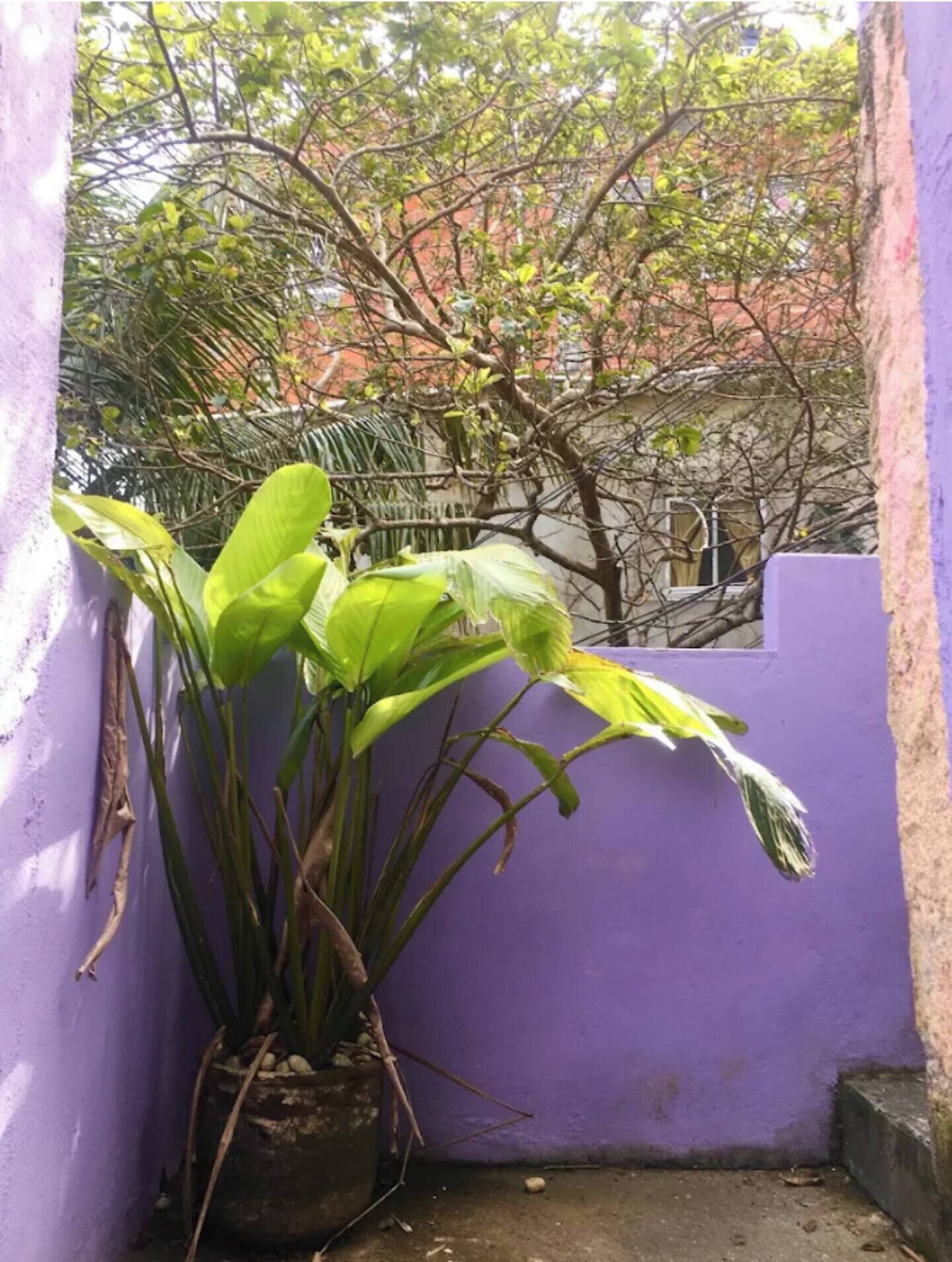 Detalhe da fachada