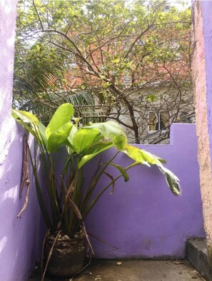 Detalhe da fachada