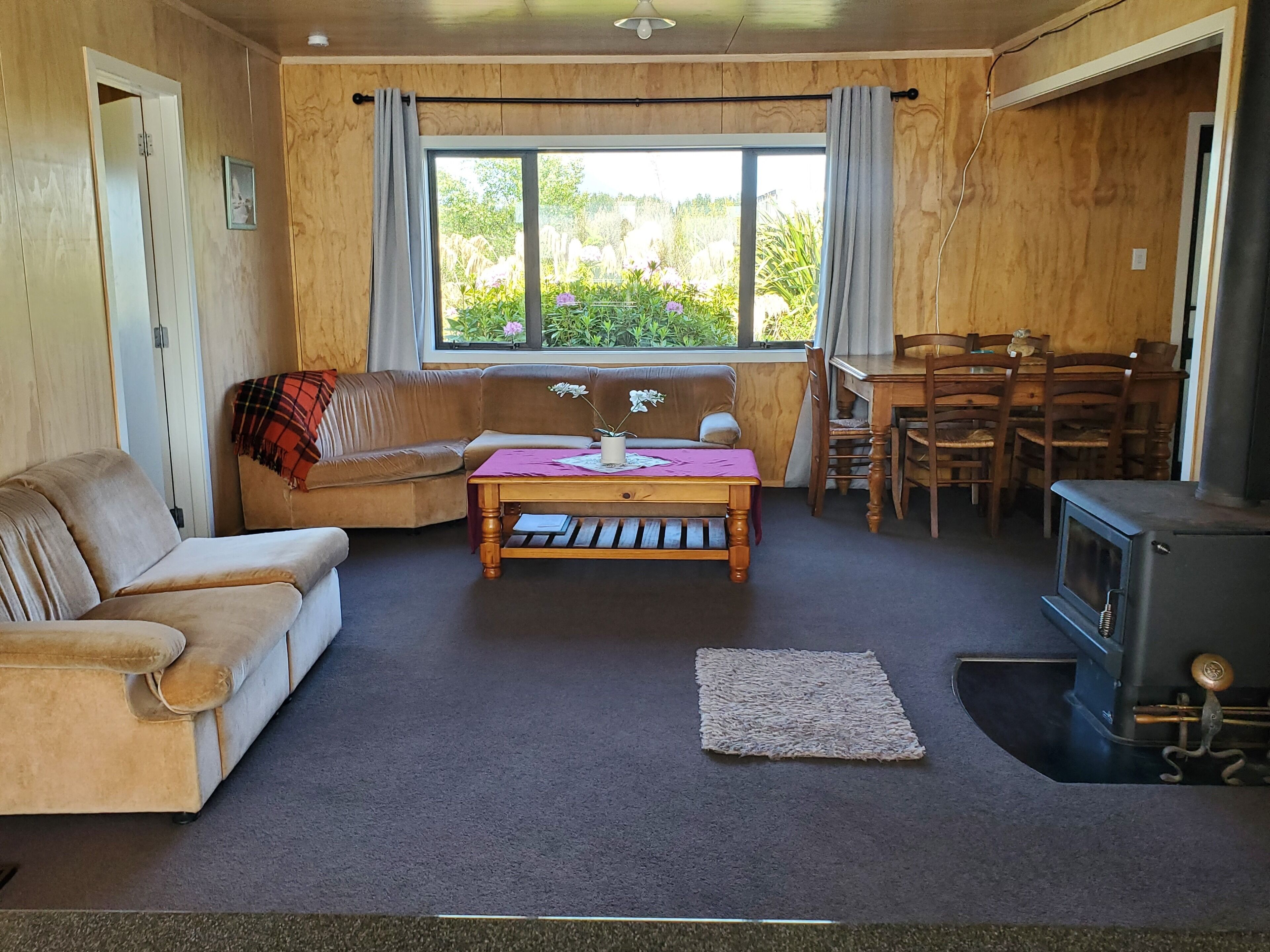TV, fireplace, books