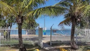 Una entrada protegida por un muro con palmeras, cielo despejado y vista al mar.