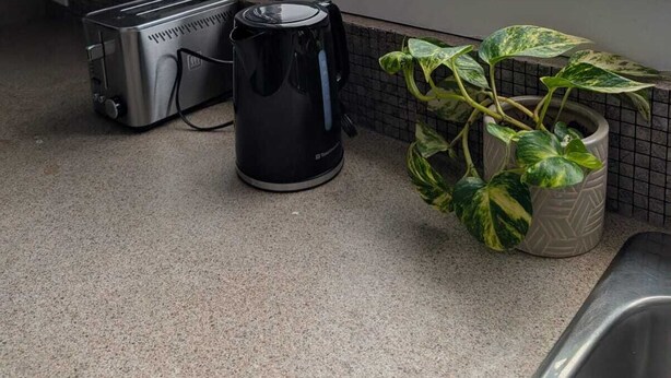 A kitchen with a toaster, a coffee maker, and a potted plant on the counter.