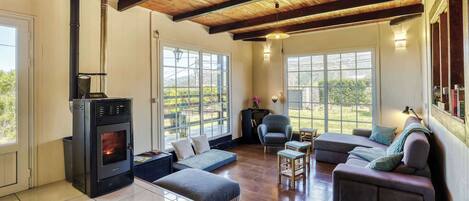 Tv, eldstad, dvd-spelare och en stereo