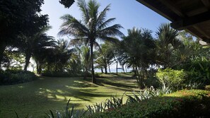 Ein tropischer Garten mit Palmen und Blick auf das Meer.