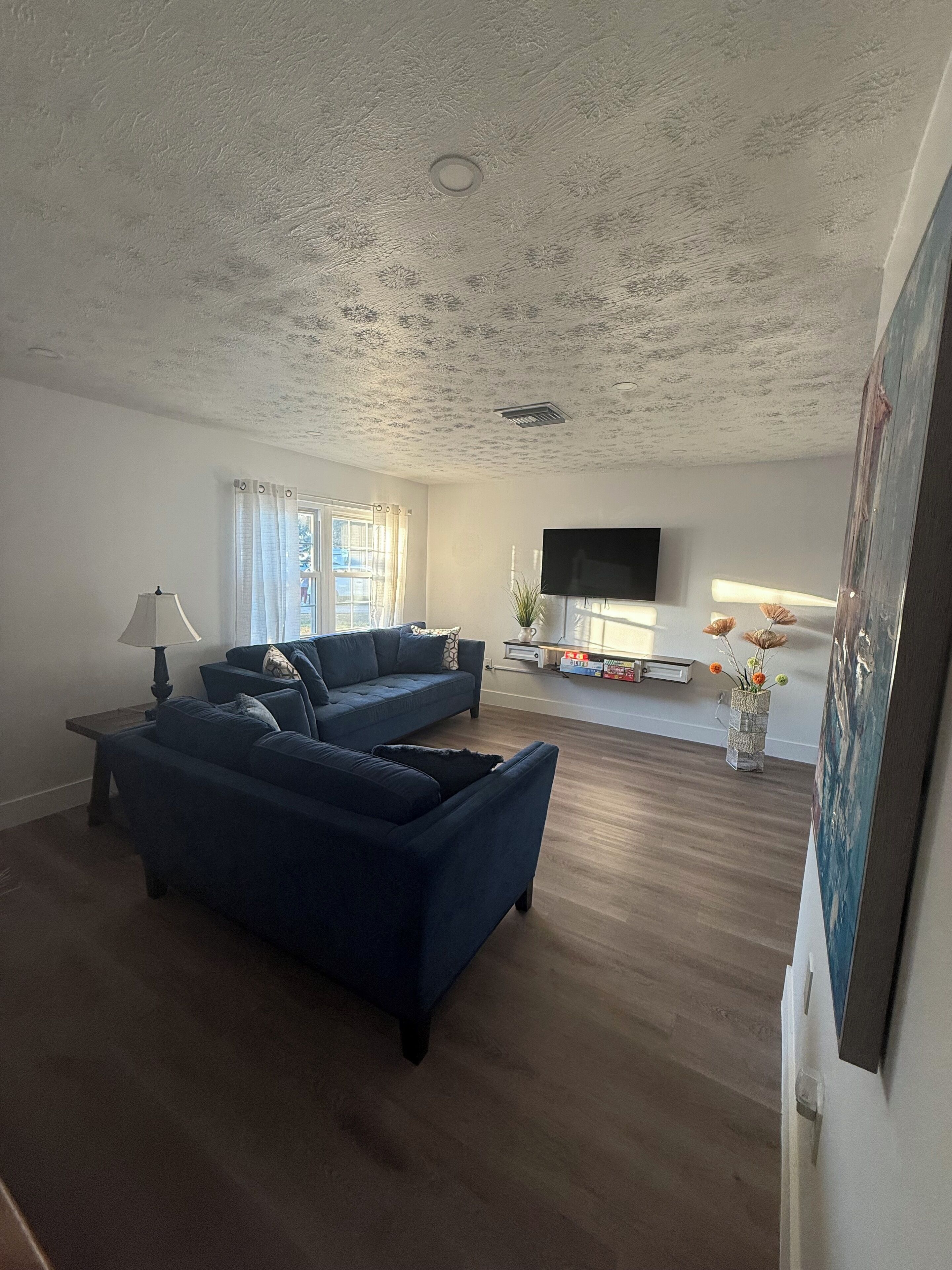 TV