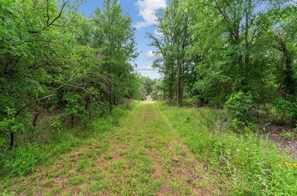 Miscellaneous - Quiet Ranch Home (Stephenville)