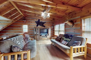 Télévision, cheminée, lecteur de DVD, livres