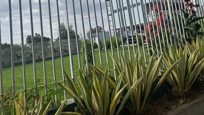 Un edificio moderno con facciata in vetro, circondato da una recinzione in metallo e piante verdi.