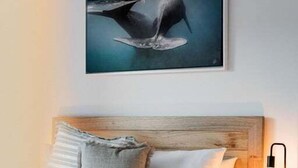 Een bed met een houten hoofdbord, witte beddengoed en één kussen. Boven het bed hangt een ingelijst beeld van een walvis. Een nachtkastje met een lamp is rechts zichtbaar.