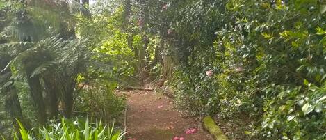 Terrain de lâhĂ©bergement