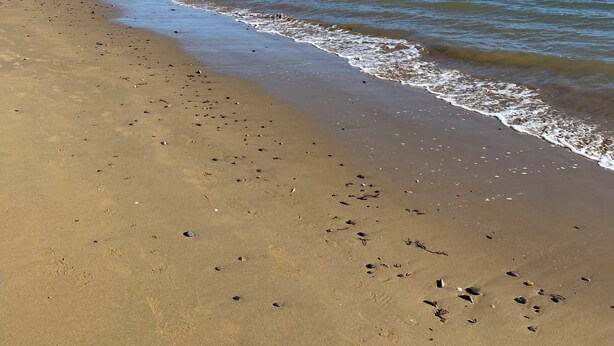 A beach with clear water, a sandy shore, and a forested hill in the background. - Dog friendly Northland getaway - Hihi Beach (Hihi)