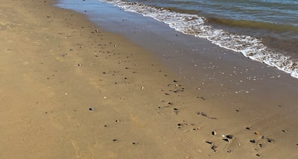 Dog friendly Northland getaway - Hihi Beach