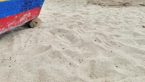 A beach with a colorful boat on the sand. - Dalai Beach Stay  (Salango)