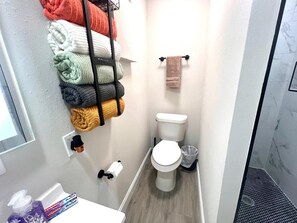 Ducha, secador de pelo, toallas y papel higiénico