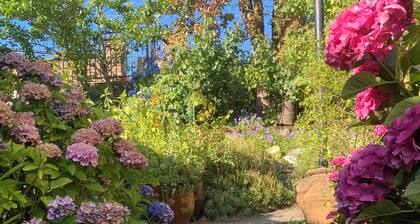 Lakefront Suite on Langford Lake – Private Wharf, Water Toys, Family Fun