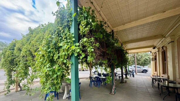 A covered outdoor seating area with tables and chairs, surrounded by greenery and a clear sky. - Royal Exchange Hotel Burra (Burra)