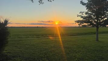 A sunset over a grassy field with a tree in the foreground.