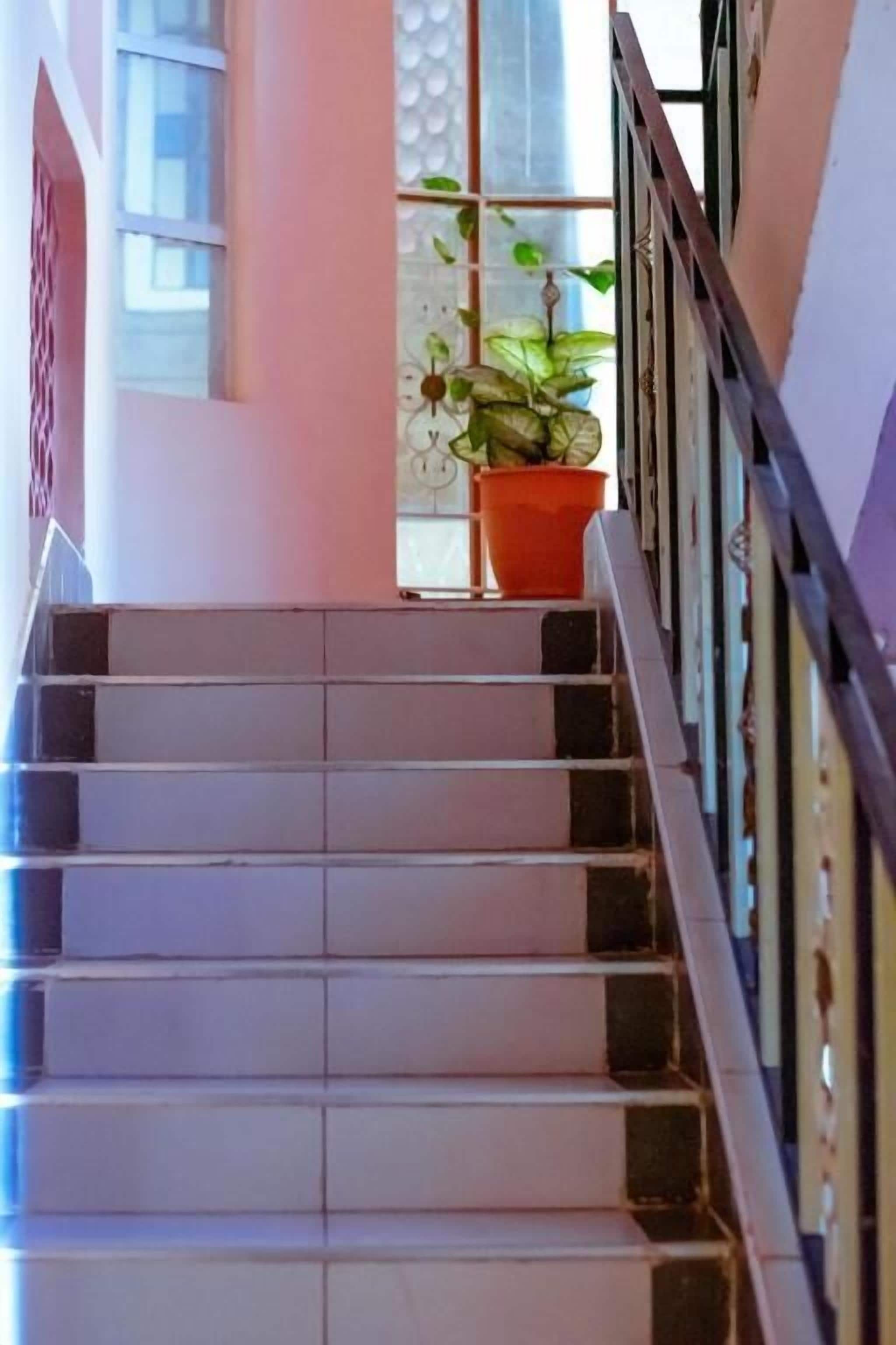 Eine Treppe mit Handlauf, die zu einem Zimmer mit einem Fenster und einem Blumentopf führt.