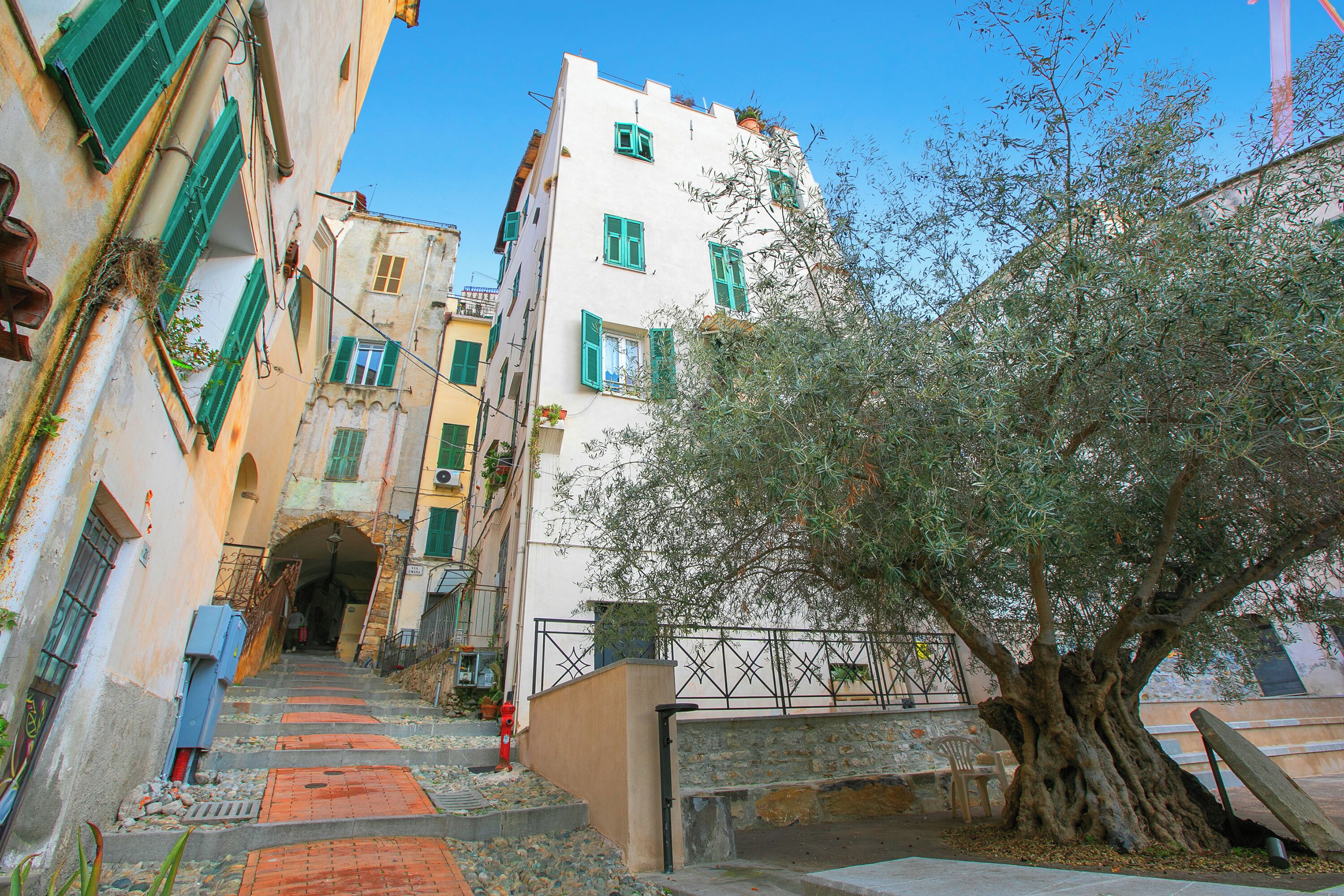 Une rue étroite bordée de bâtiments des deux côtés, un arbre au premier plan et un escalier menant à l’entrée d’un immeuble.