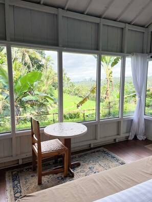 Vista desde la habitación