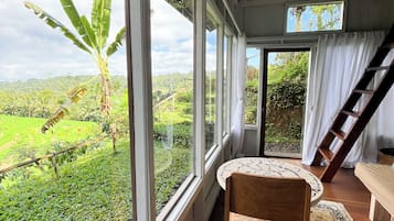 Cabin, Mountain View | View from room