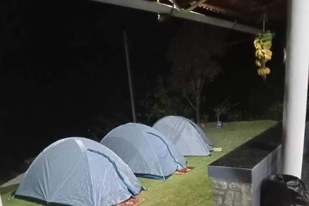 Economy Tent | Free WiFi