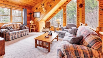 TV, fireplace, table tennis, books