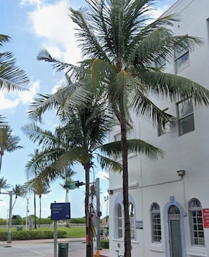 Exterior - Ocean Sand Inn (Miami Beach)